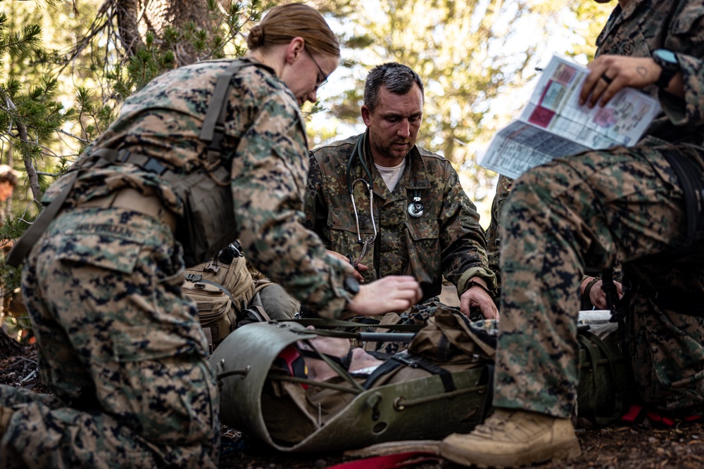U.S. service members conduct CASEVAC during Mountain Medicine 3-25 final exercise