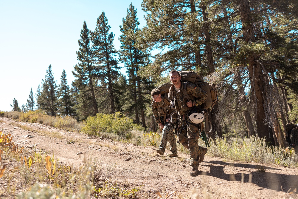 U.S. service members conduct CASEVAC during Mountain Medicine 3-25 final exercise
