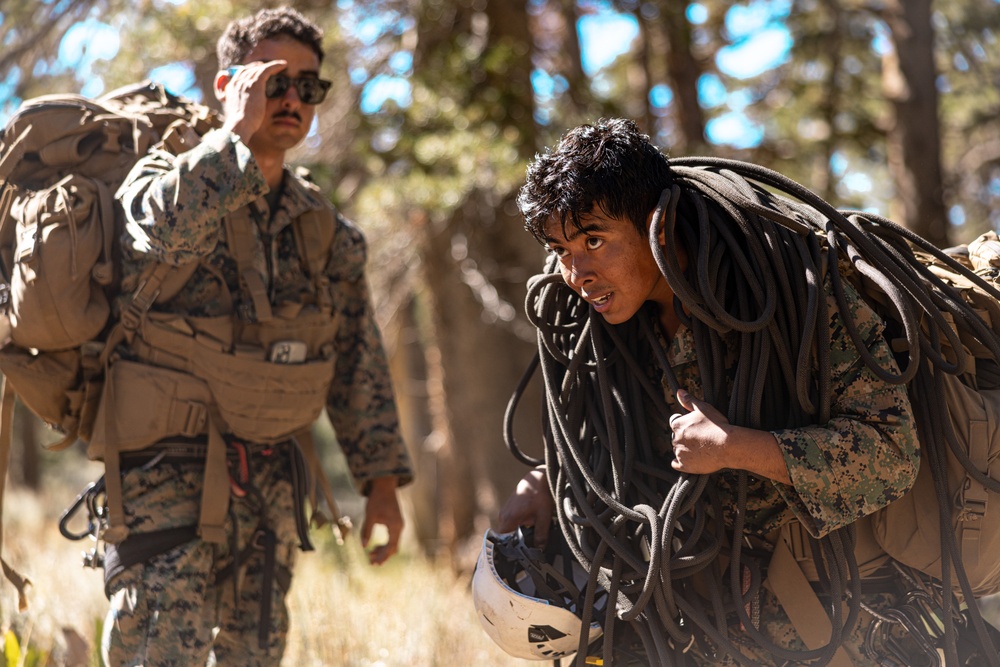 U.S. service members conduct CASEVAC during Mountain Medicine 3-25 final exercise