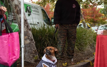 RS Sacramento: Trunk or Treat