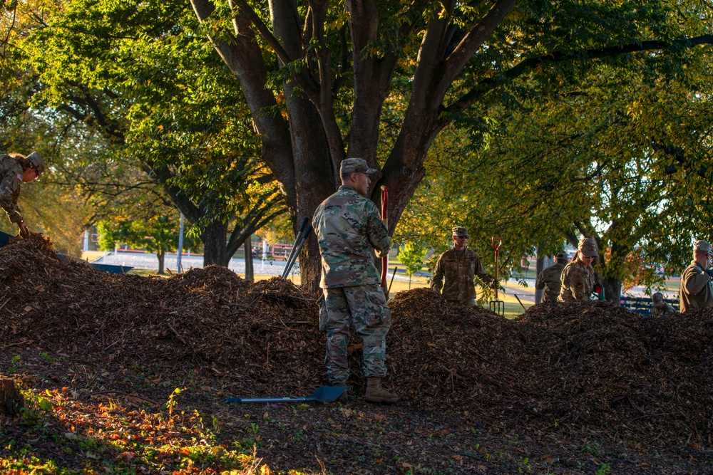 Beautification at Volleyball Court Beautification at Volleyball Court