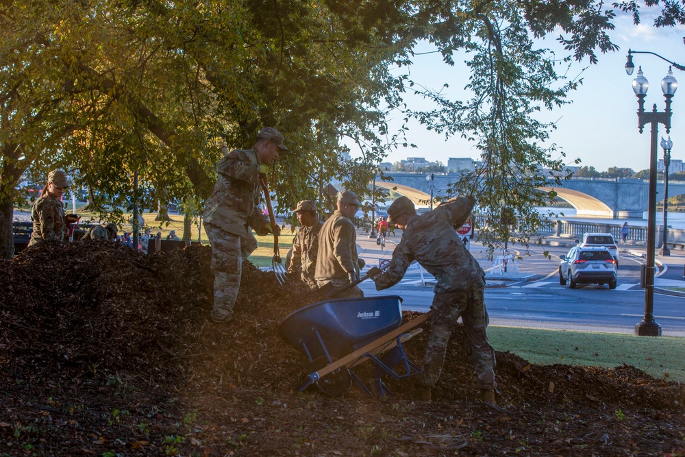 Beautification at Volleyball Court Beautification at Volleyball Court