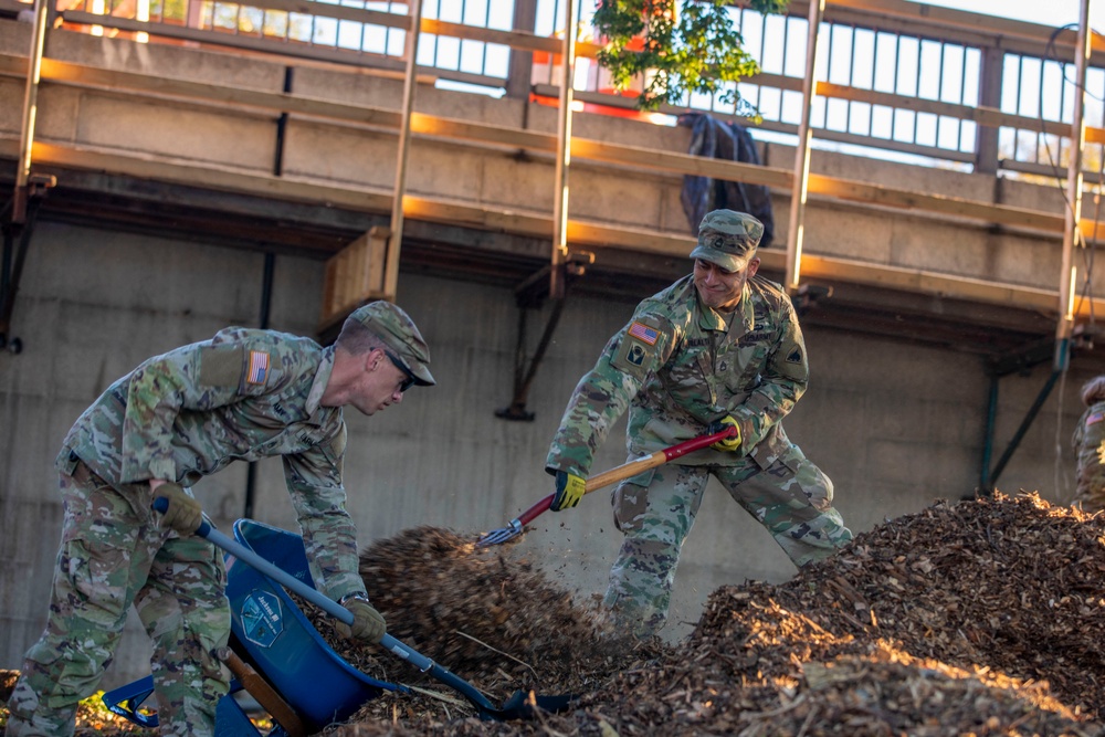 Beautification at Volleyball Court Beautification at Volleyball Court
