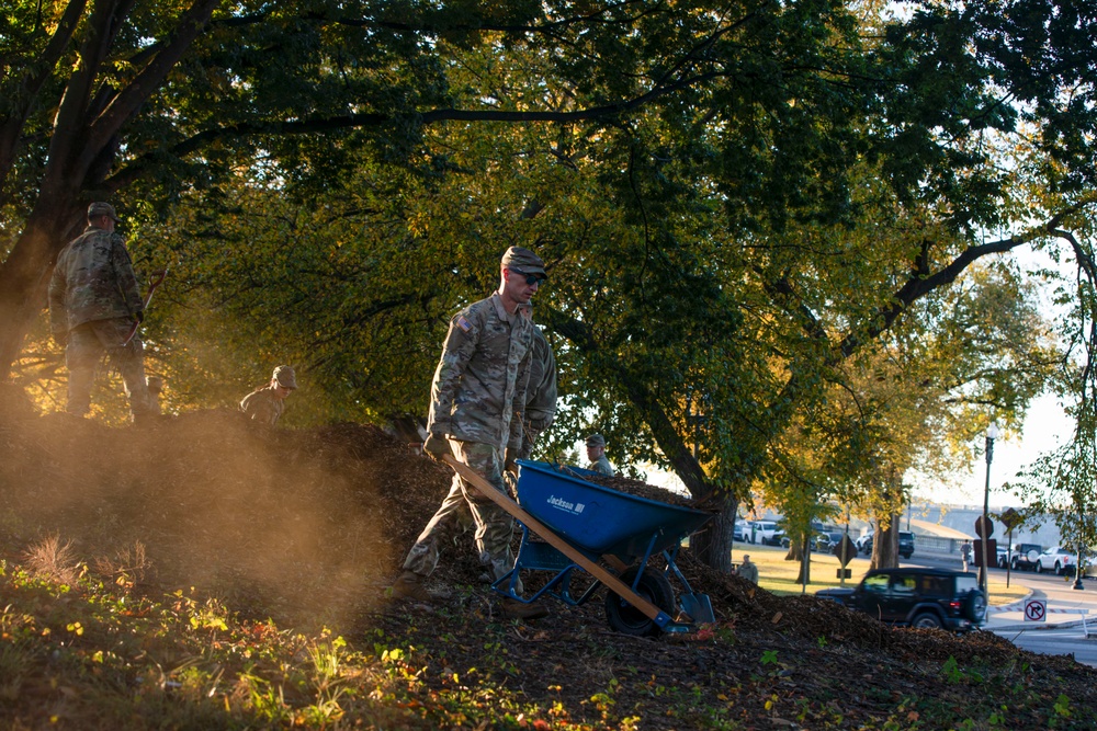 Beautification at Volleyball Court Beautification at Volleyball Court