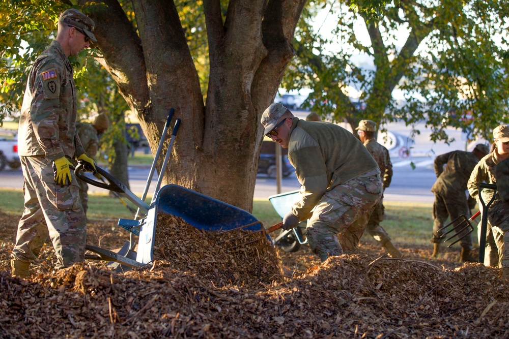 Beautification at Volleyball Court Beautification at Volleyball Court
