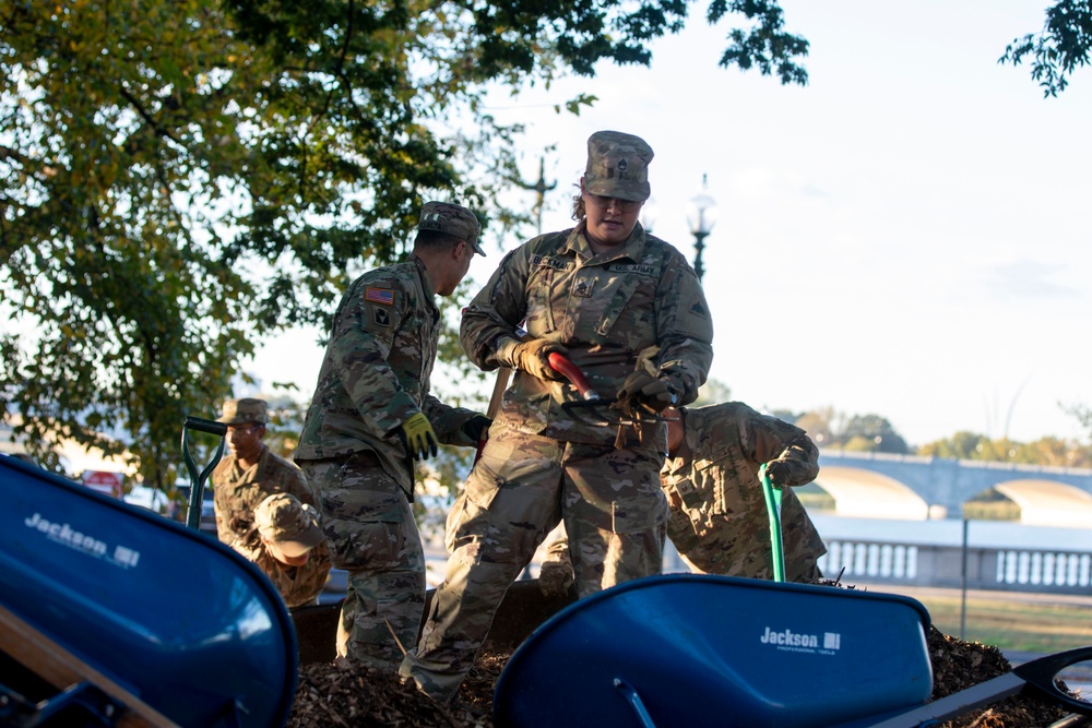 Beautification at Volleyball Court Beautification at Volleyball Court