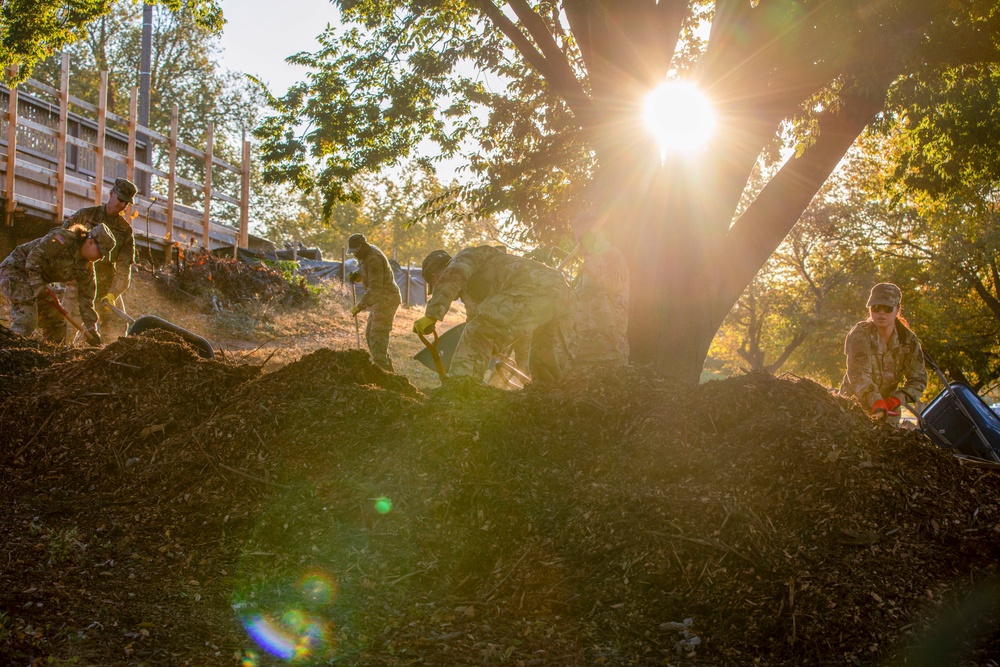 Beautification at Volleyball Court Beautification at Volleyball Court