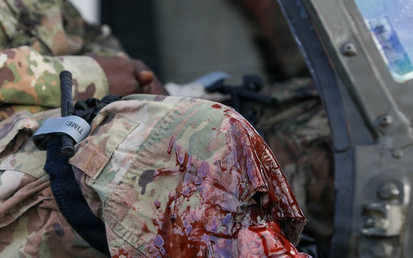 Downed Aircraft Recovery Team Training during Combined Resolve