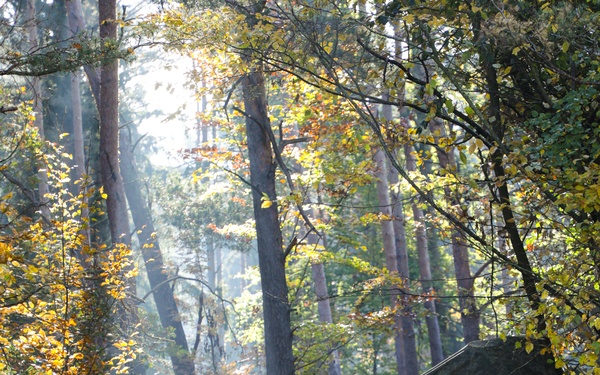 Combined Resolve 26-1