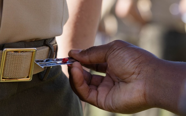 Marine Forces Reserve and Marine Forces South Conduct a Uniform Inspection