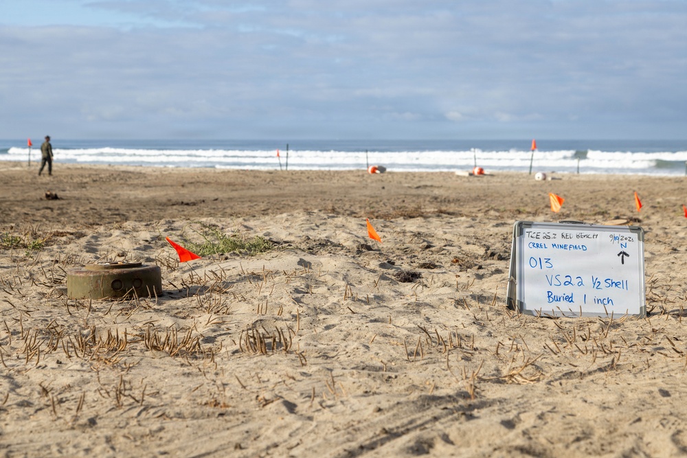 TCE 25.2 demonstrates future capabilities