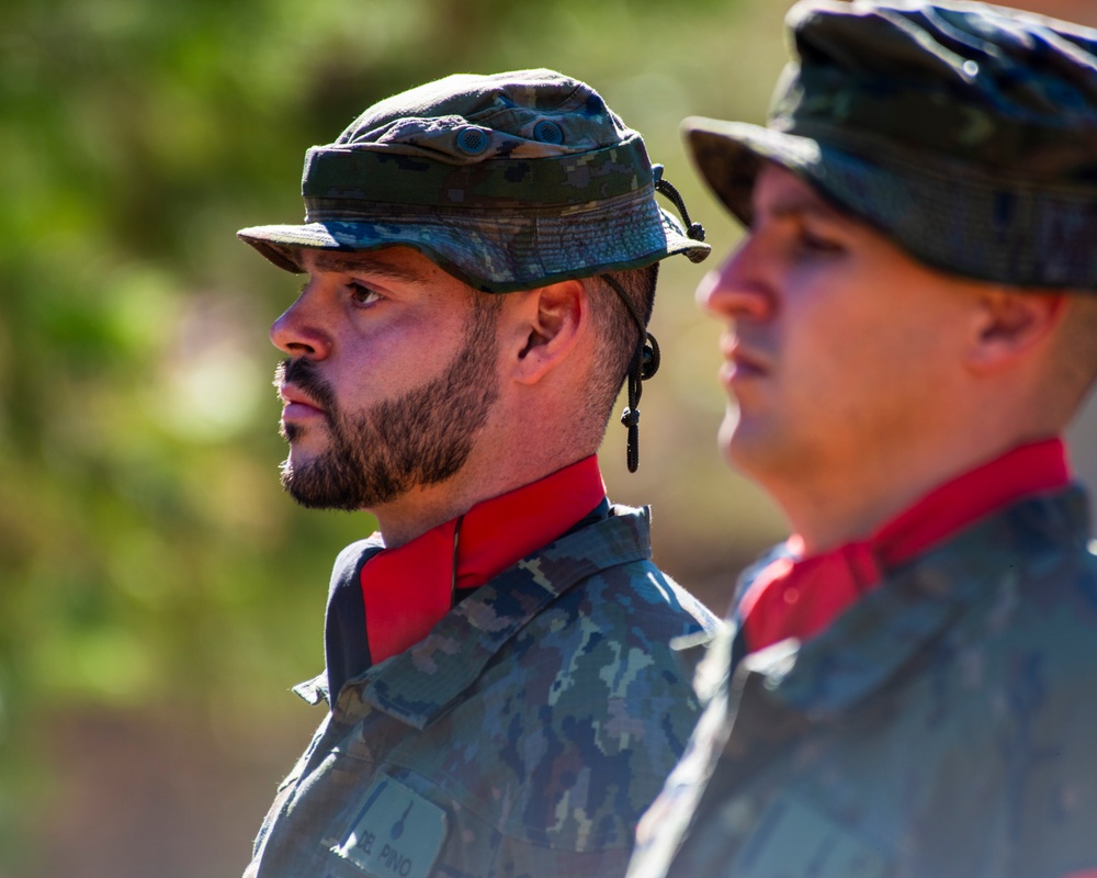 National Day of Spain Ceremony Strengthens NATO Partnership at Incirlik AB