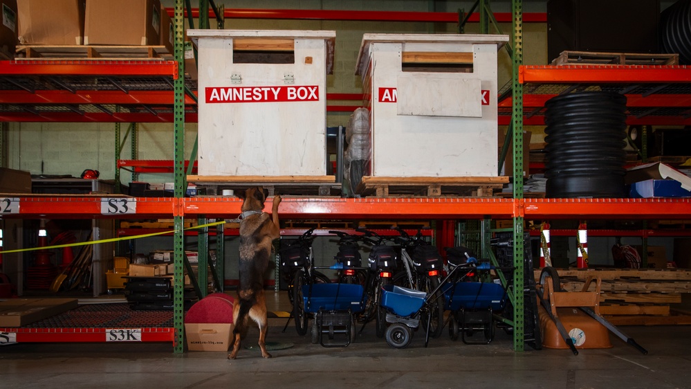 AFMES continually enhances joint MWD training