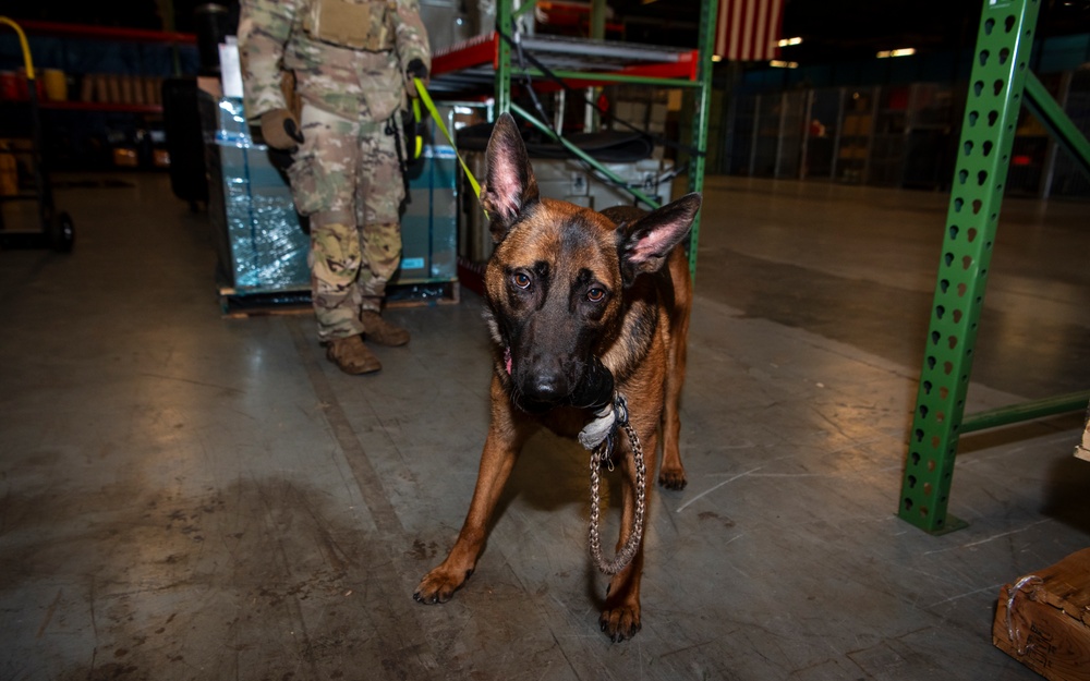 AFMES continually enhances joint MWD training