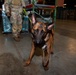 AFMES continually enhances joint MWD training