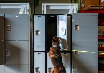 AFMES continually enhances joint MWD training