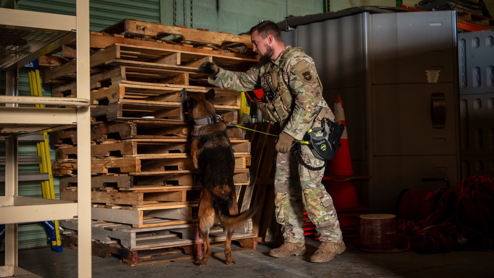 AFMES continually enhances joint MWD training