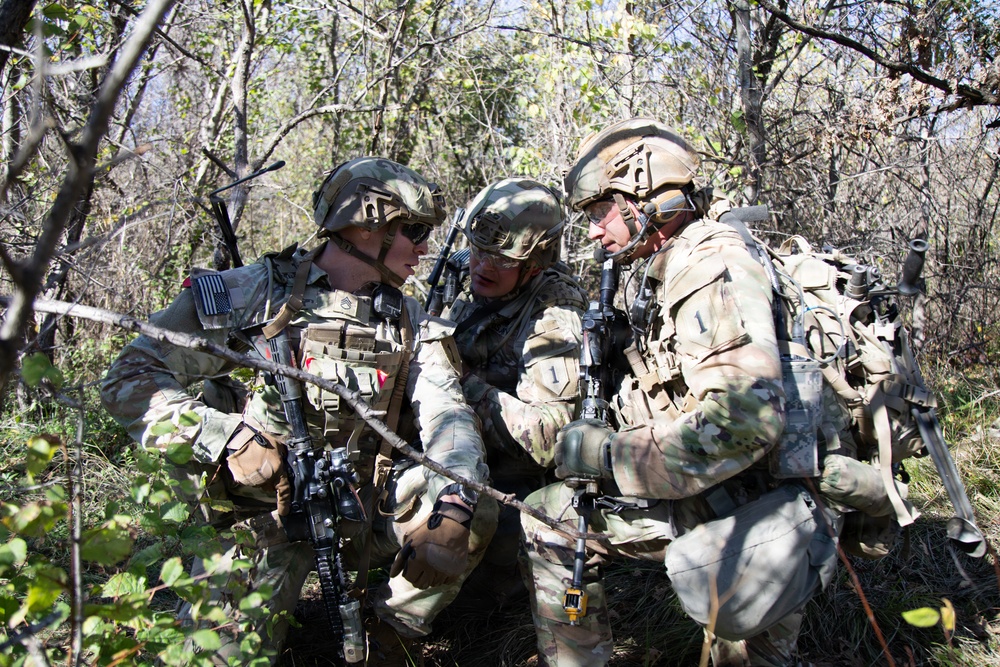 1st Infantry Division Conducts Live Fire Exercise at Novo Selo Training Area, Bulgaria 1st Infantry Division Conducts Live Fire Exercise at Novo Selo Training Area, Bulgaria