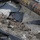 USACE responds to flooding in Central Florida USACE responds to flooding in Central Florida