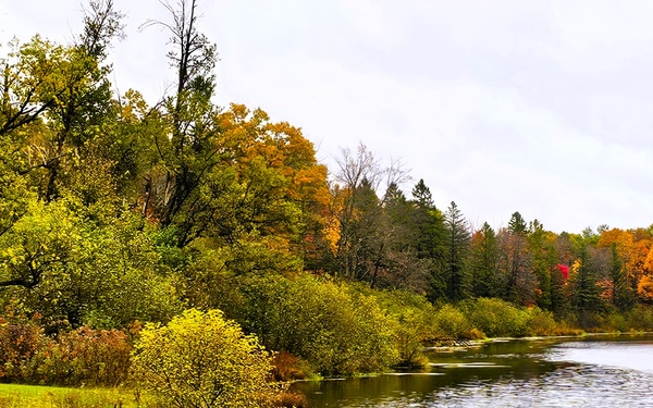 2025 Fall Colors at Fort McCoy