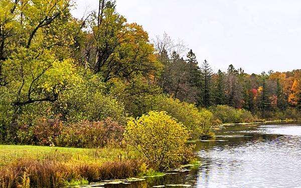 2025 Fall Colors at Fort McCoy