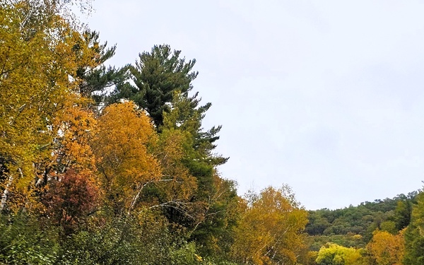 2025 Fall Colors at Fort McCoy