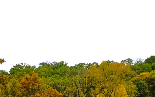 2025 Fall Colors at Fort McCoy