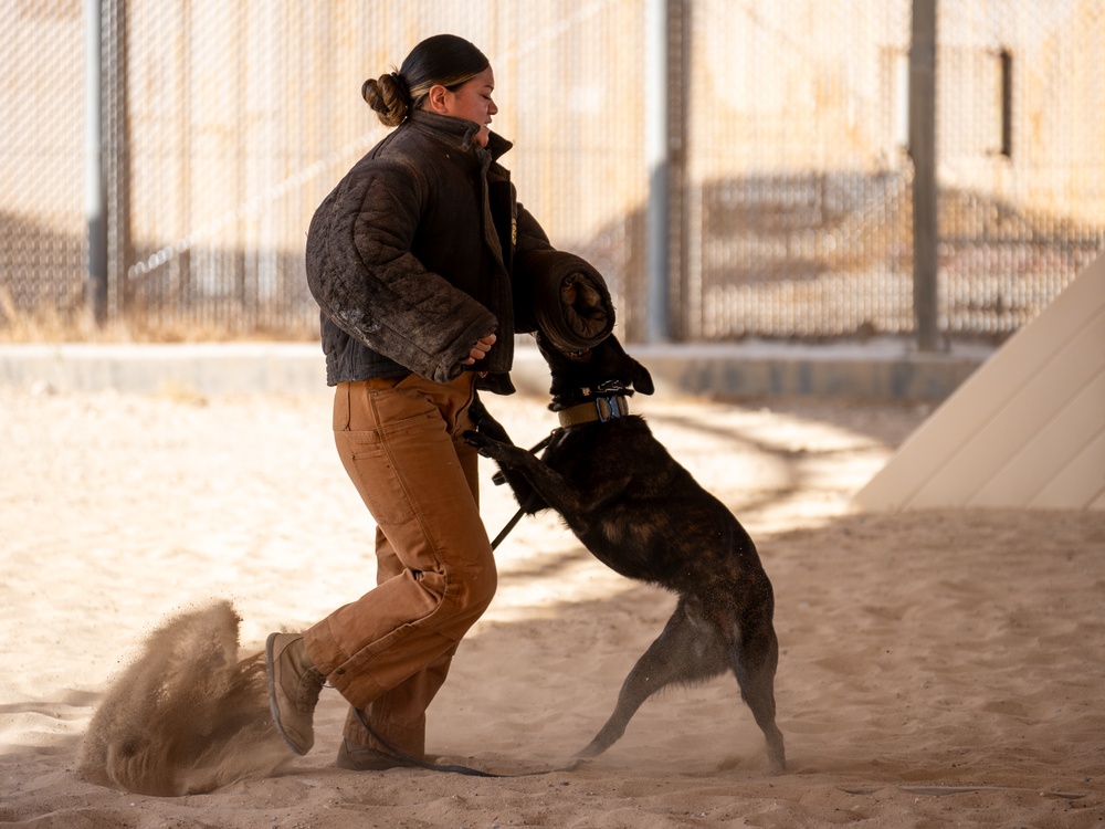 386th Commander Battlefield Circulation 386th Commander Battlefield Circulation