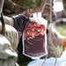 2nd Cavalry Regiment Drone Blood Delivery Exercise