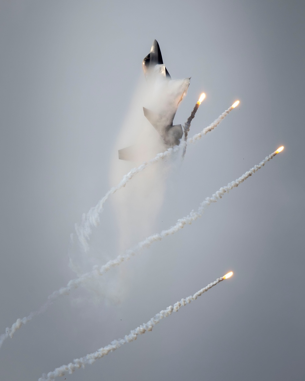 F-22 Raptor Ignites the Sky at NAS Oceana F-22 Raptor Ignites the Sky at NAS Oceana