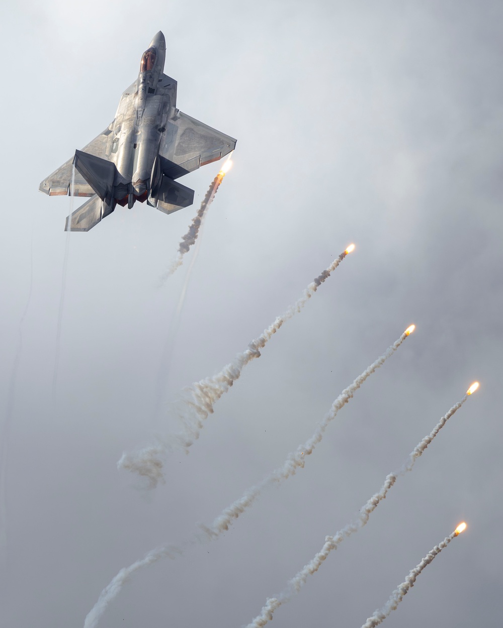 F-22 Raptor Ignites the Sky at NAS Oceana F-22 Raptor Ignites the Sky at NAS Oceana