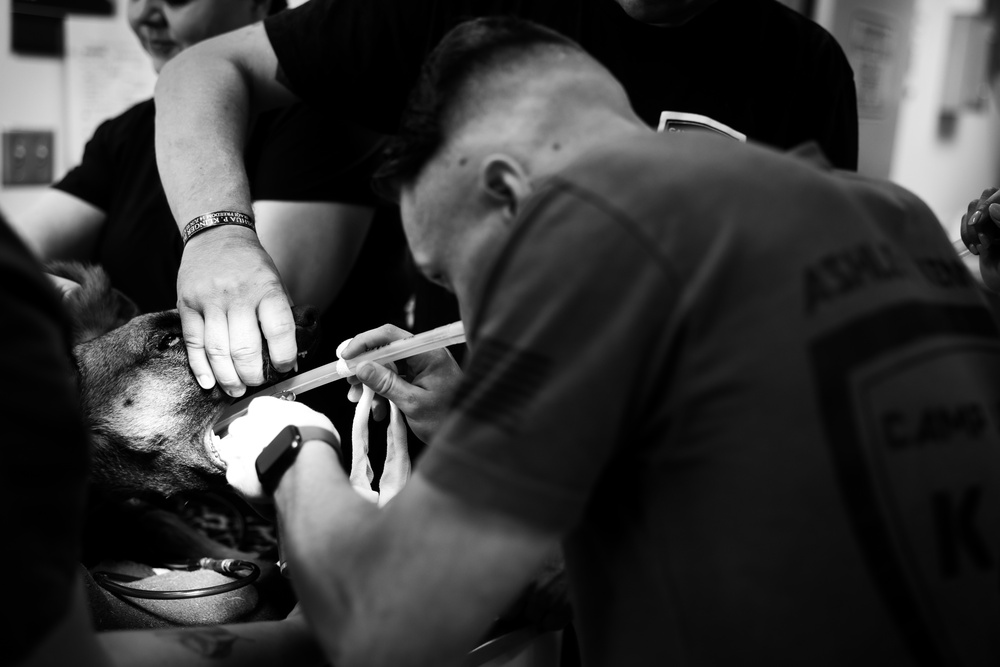 Training, Trust and the Bond Behind the Badge Training, Trust and the Bond Behind the Badge