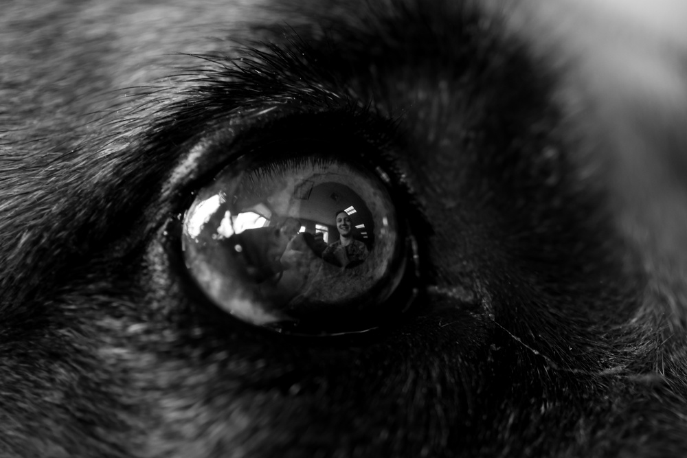 Training, Trust and the Bond Behind the Badge Training, Trust and the Bond Behind the Badge