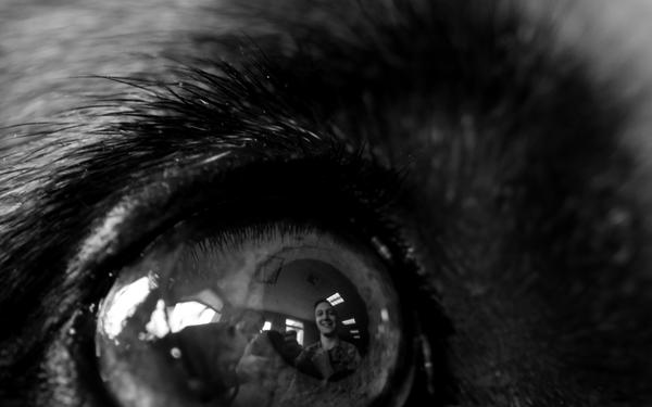 Training, Trust and the Bond Behind the Badge