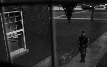 Training, Trust and the Bond Behind the Badge