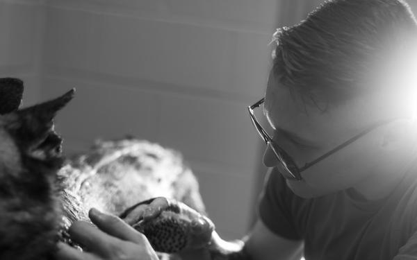 Training, Trust and the Bond Behind the Badge