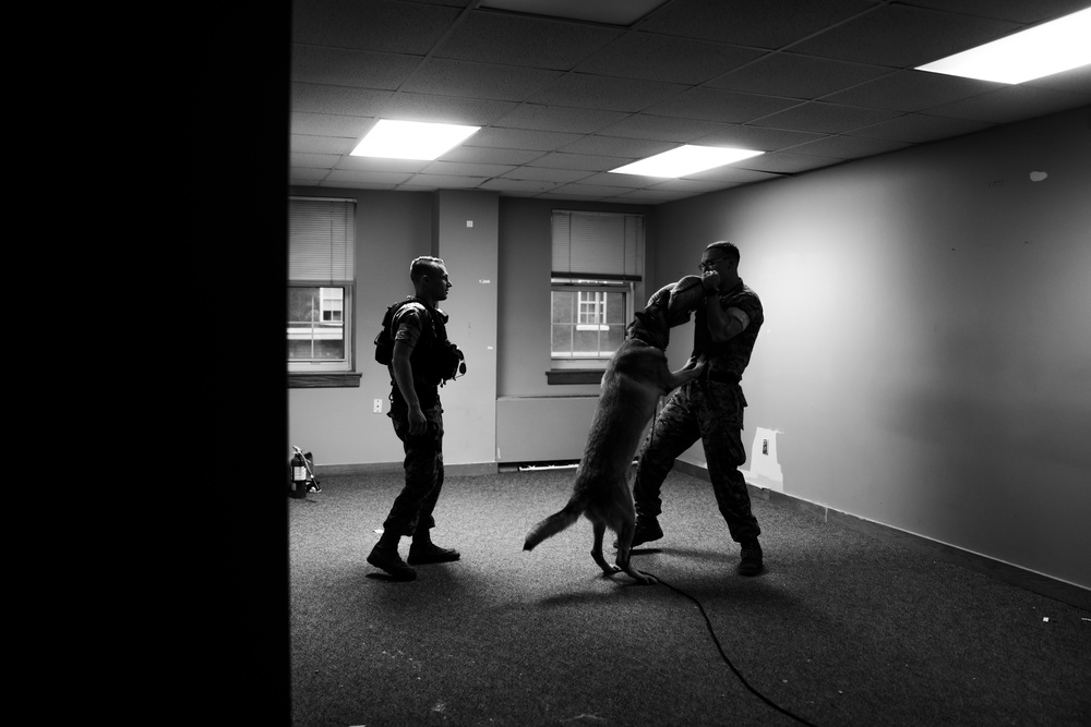 Training, Trust and the Bond Behind the Badge Training, Trust and the Bond Behind the Badge