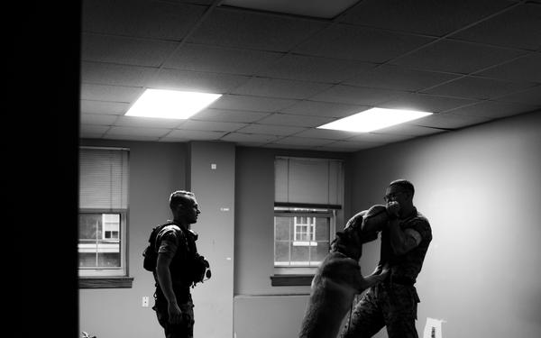 Training, Trust and the Bond Behind the Badge