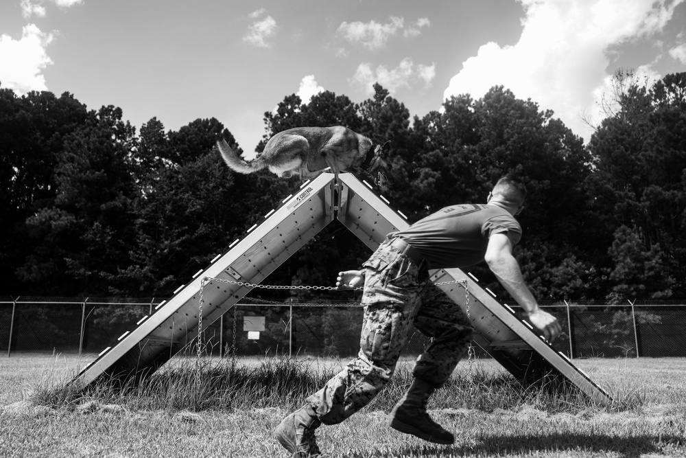 Training, Trust and the Bond Behind the Badge Training, Trust and the Bond Behind the Badge