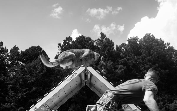 Training, Trust and the Bond Behind the Badge