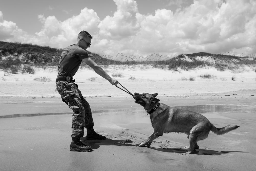 Training, Trust and the Bond Behind the Badge Training, Trust and the Bond Behind the Badge