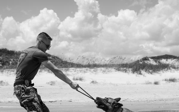 Training, Trust and the Bond Behind the Badge