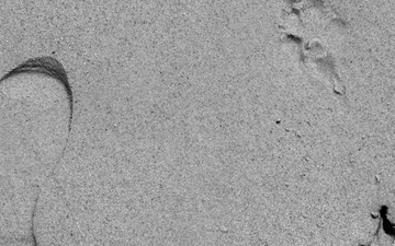 Training, Trust and the Bond Behind the Badge