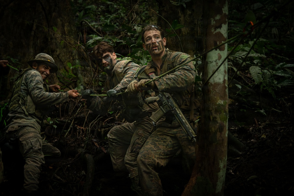 Combined Jungle Operations Training Course React to Contact Mission