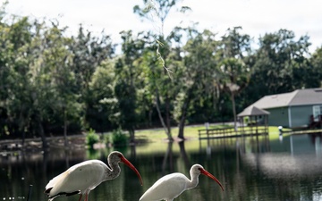 Flood Response Lake County
