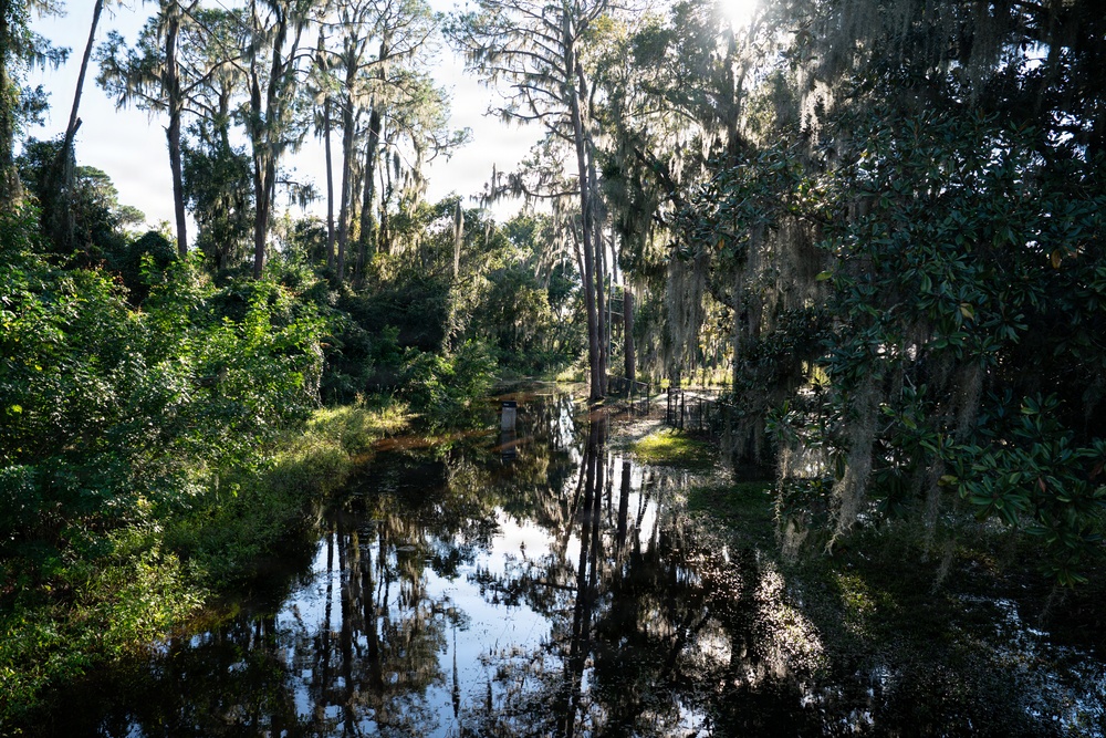 A Smart Response in Lake County