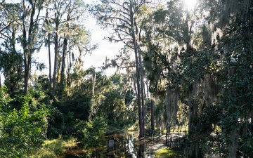 A Smart Response in Lake County