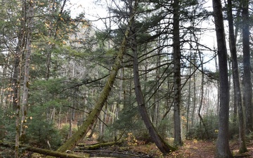 Porcupine Creek Trail