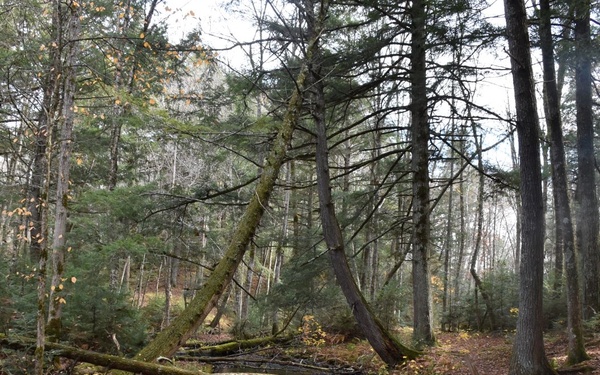 Porcupine Creek Trail