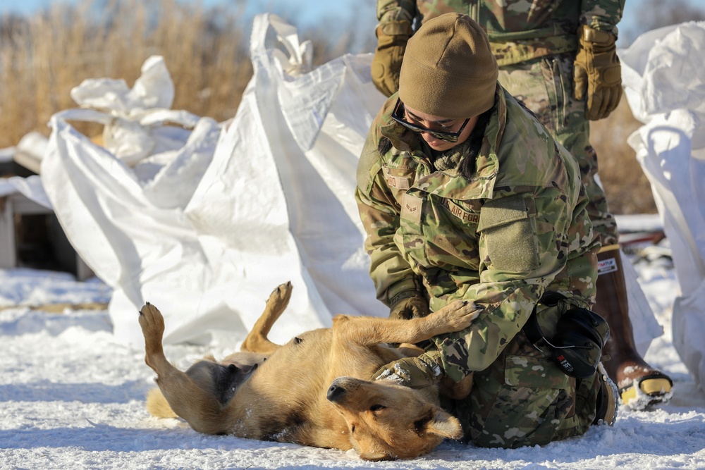 AKOM continues relief efforts at Napaskiak, Alaska during Operation Halong Response AKOM continues relief efforts at Napaskiak, Alaska during Operation Halong Response